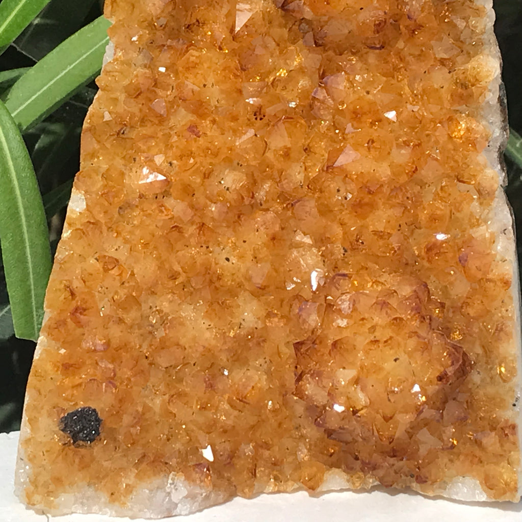 Glowing Citrine Crystal Cluster