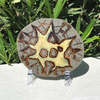 Here's Looking At You Septarian Slab