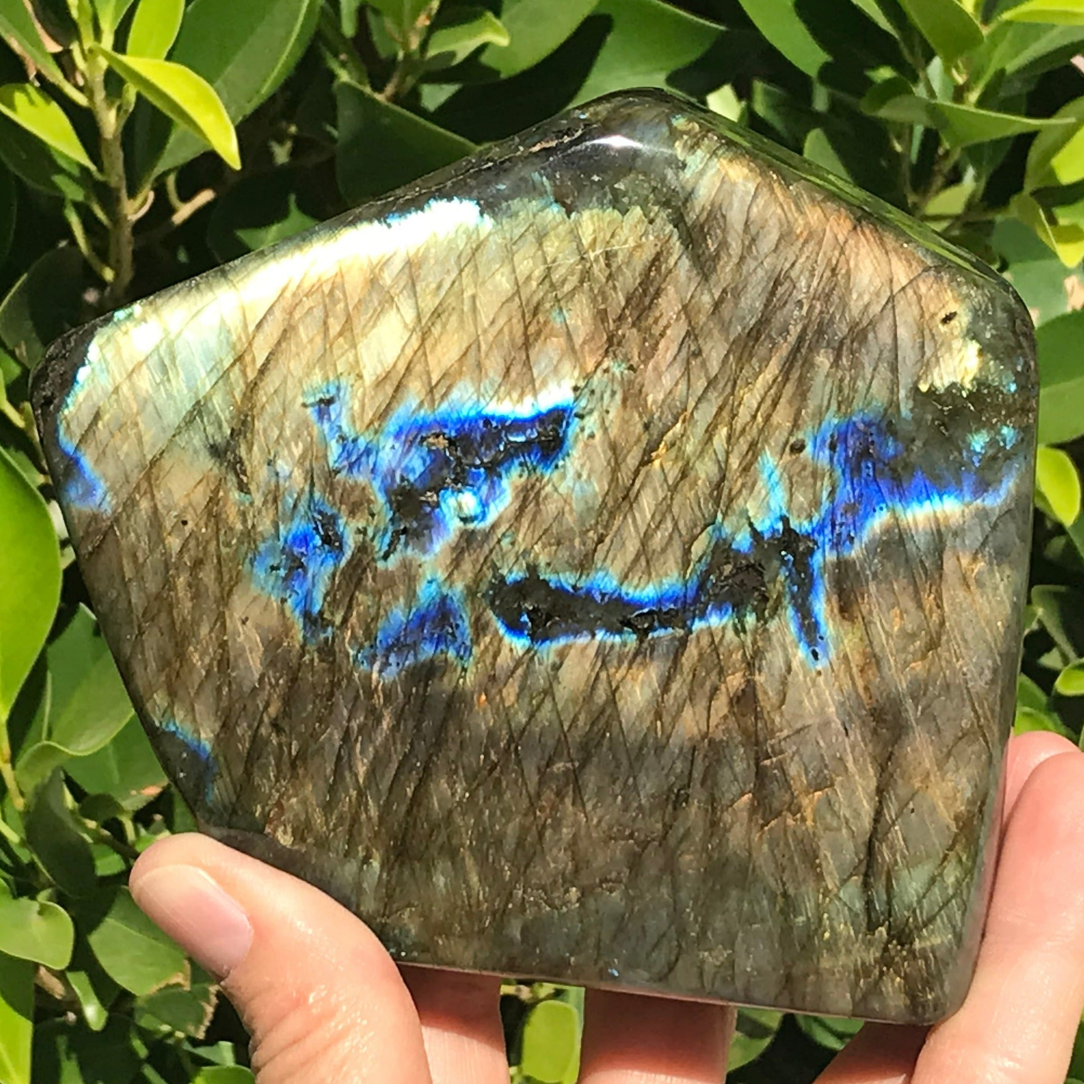Prismatic Labradorite Freeform