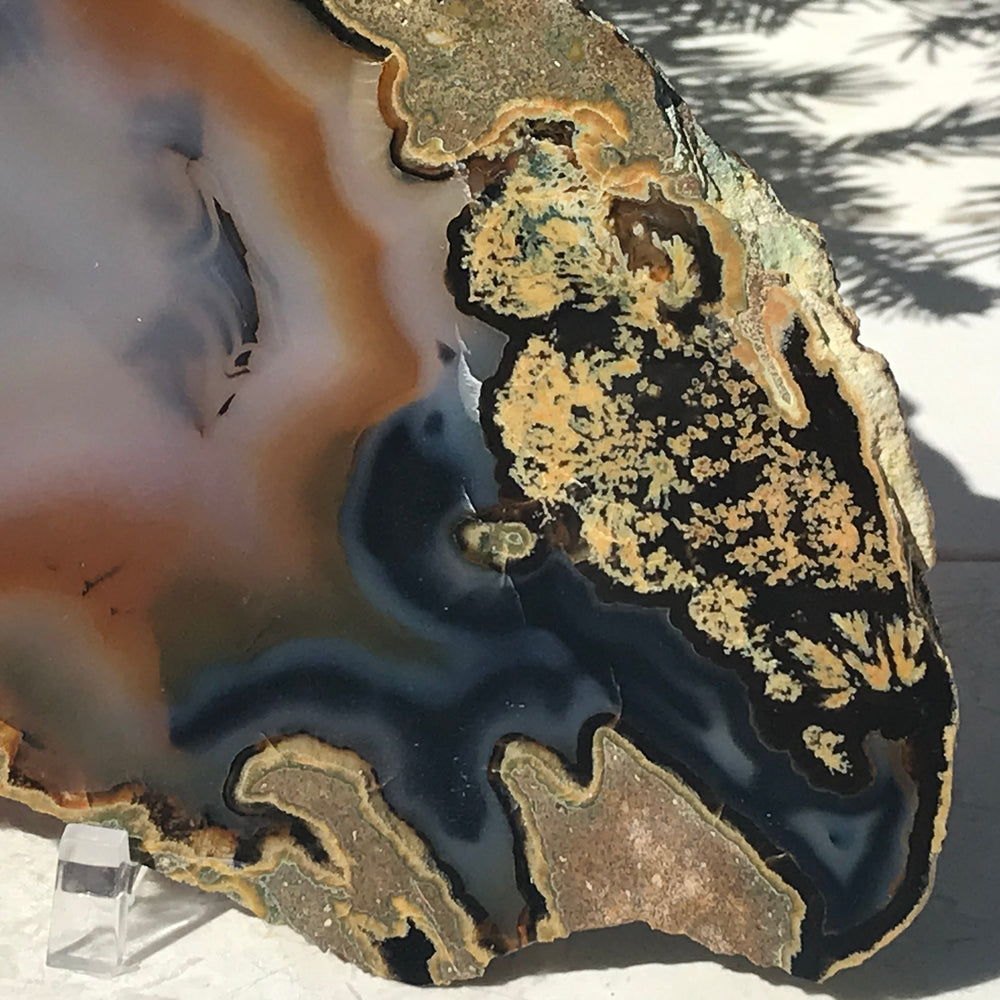 Orange Eyed Brazilian Agate Slice