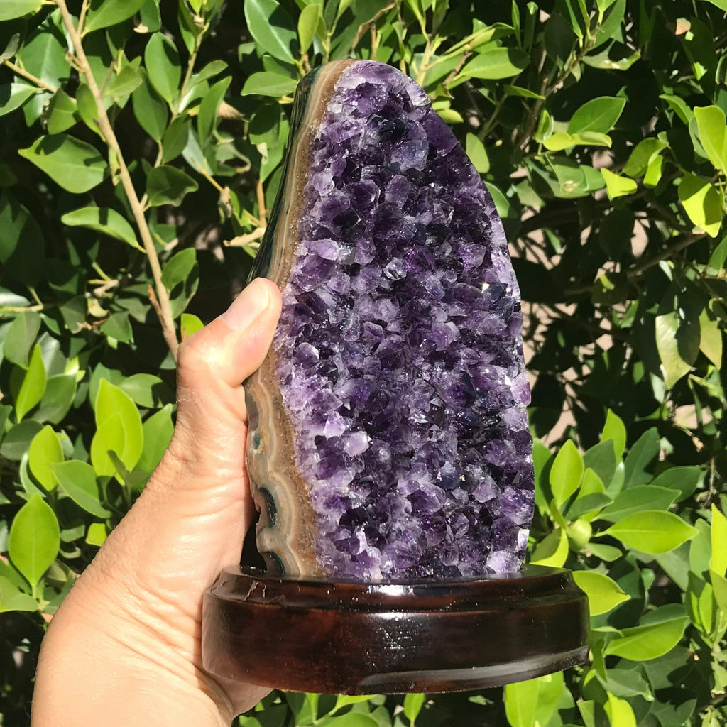 Classic Amethyst Freeform