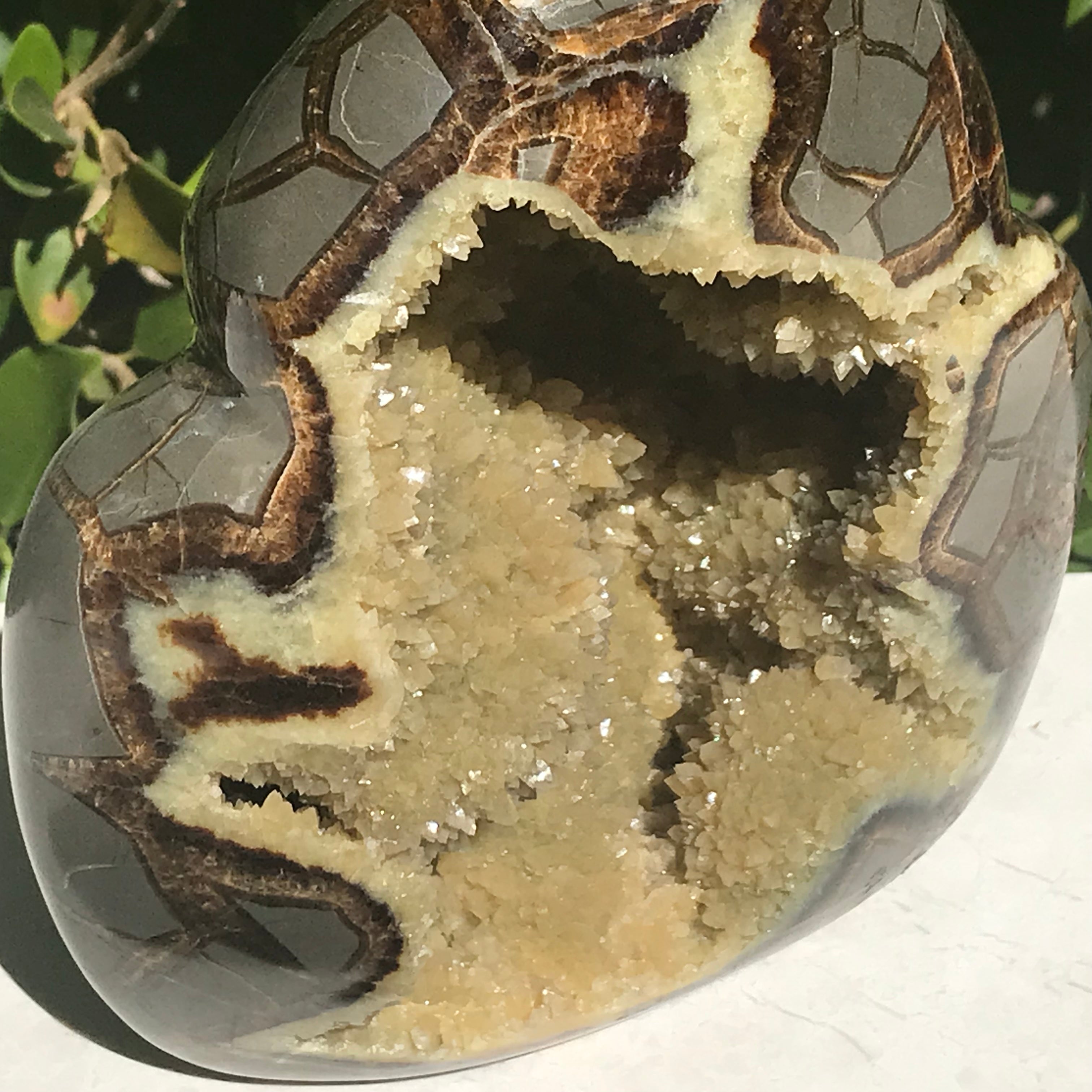 Septarian Geode