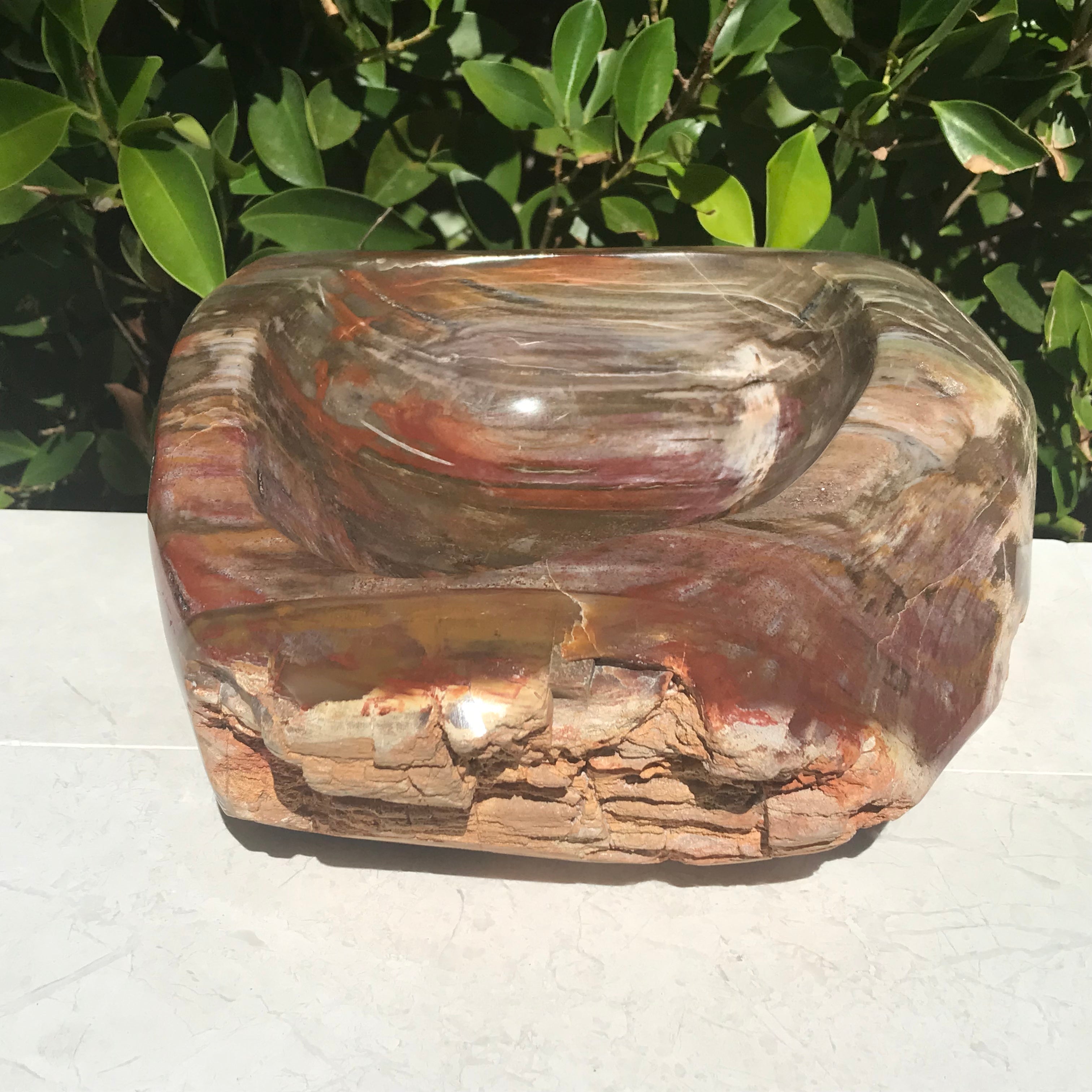 Multihued Petrified Wood Bowl
