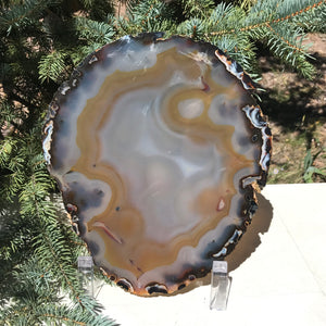 Bubbled Brazilian Agate Slice