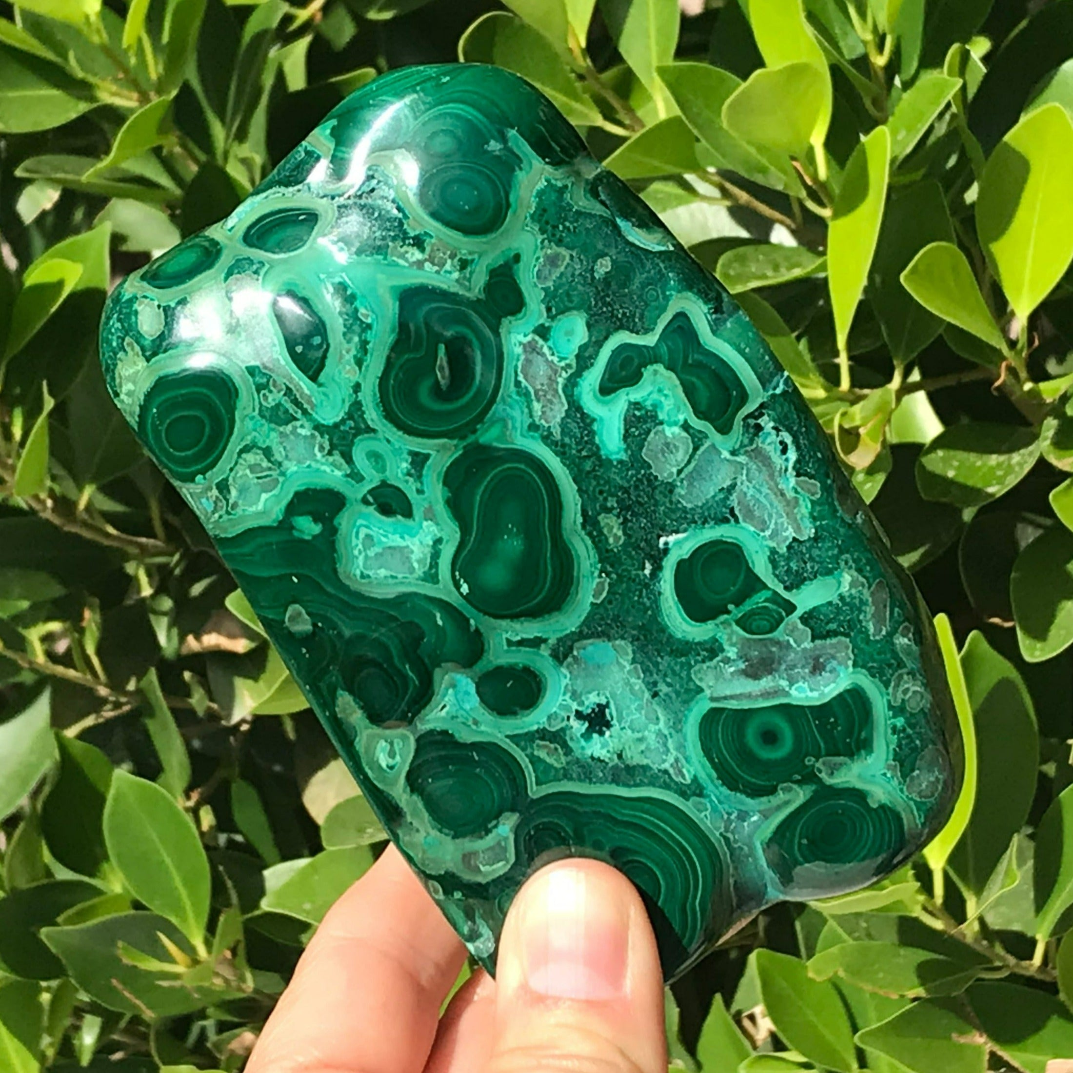 Complex Patterned Malachite/Chrysocolla Nodule