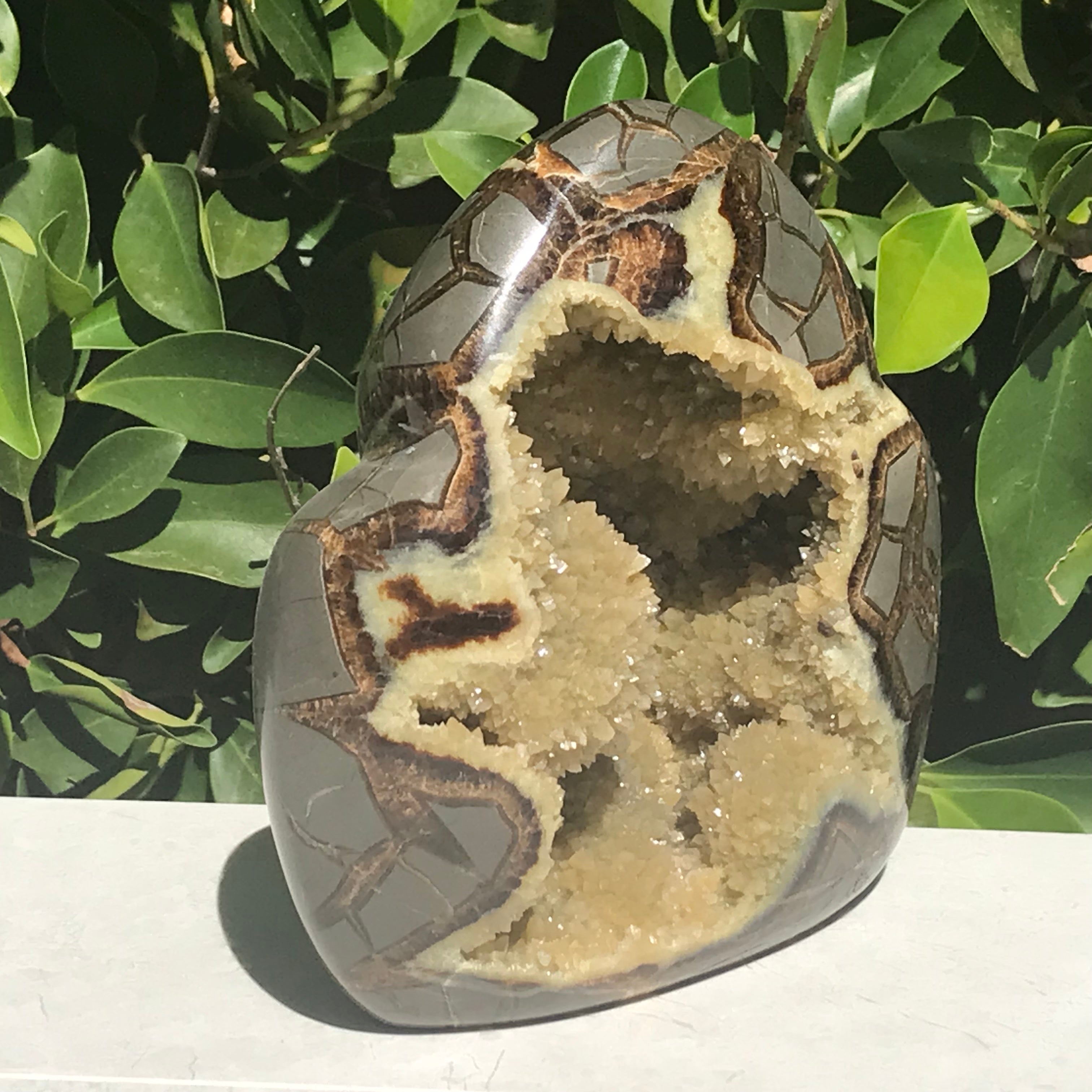 Septarian Geode