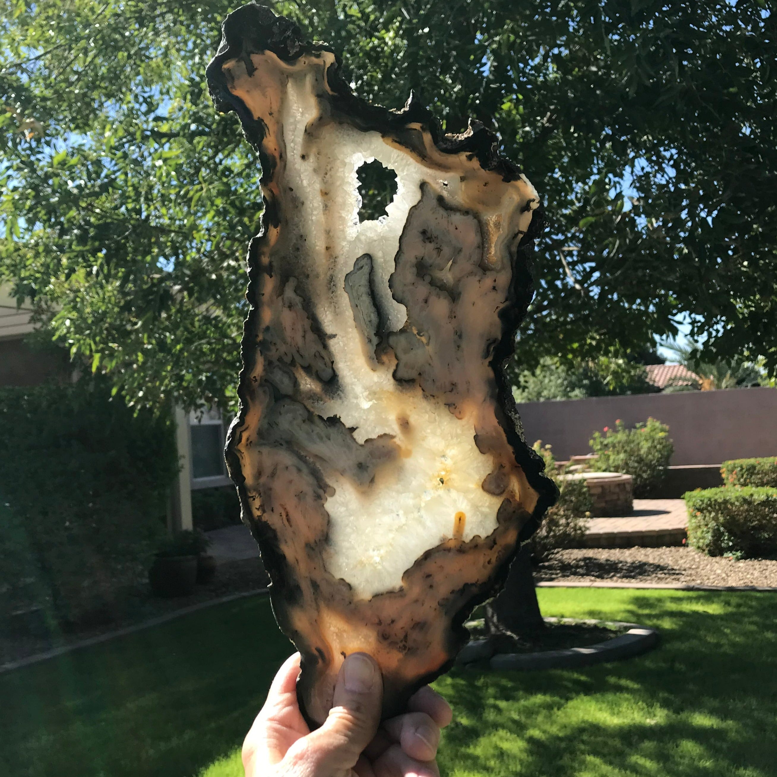 Waves of Agate Slice