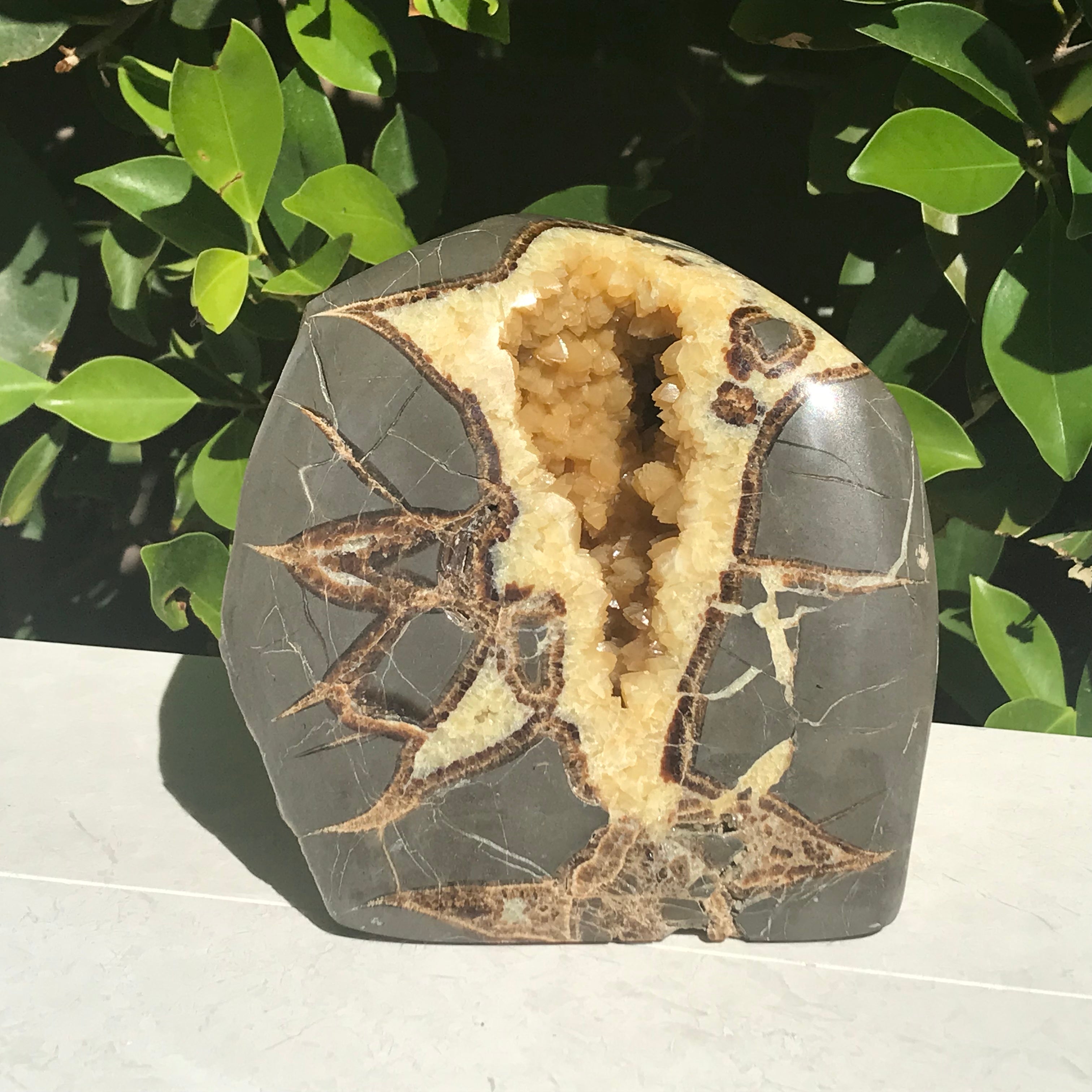 Contemporary  Septarian Nodule