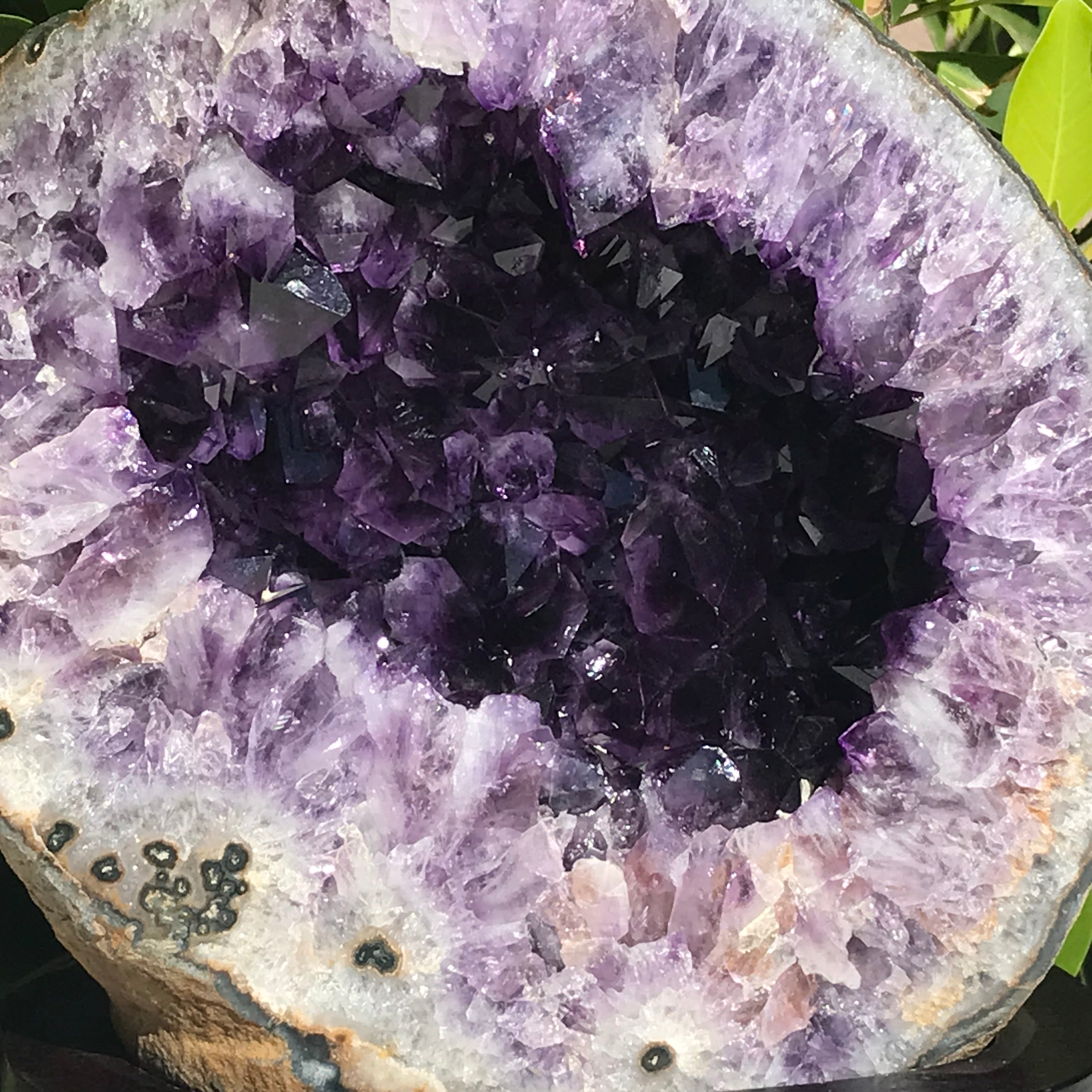 Agate Eye RimmedvAmethyst Geode