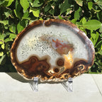 Hues of a Rainbow Agate Slice