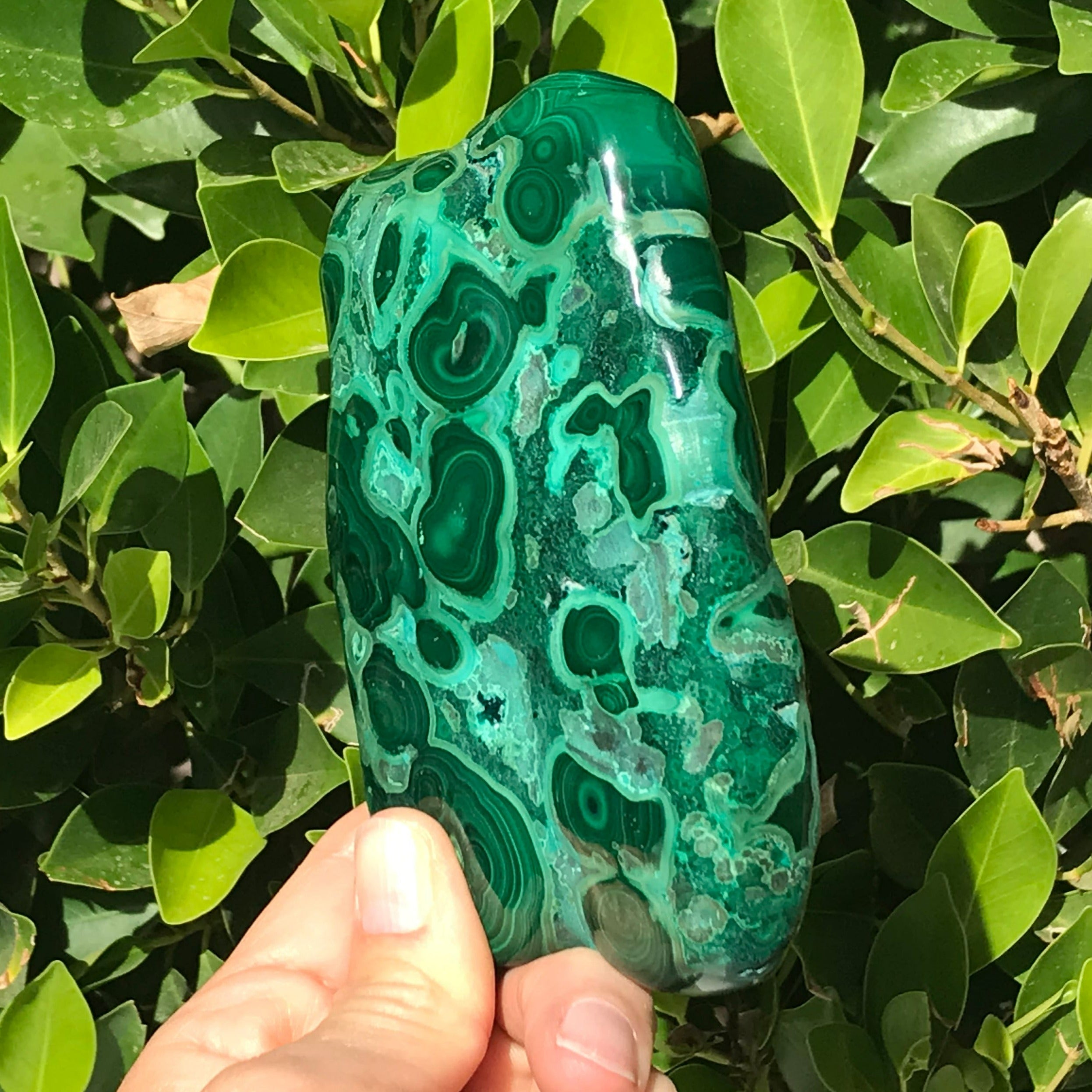 Complex Patterned Malachite/Chrysocolla Nodule