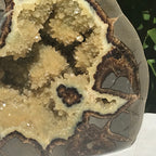 Polished Septarian Nodule