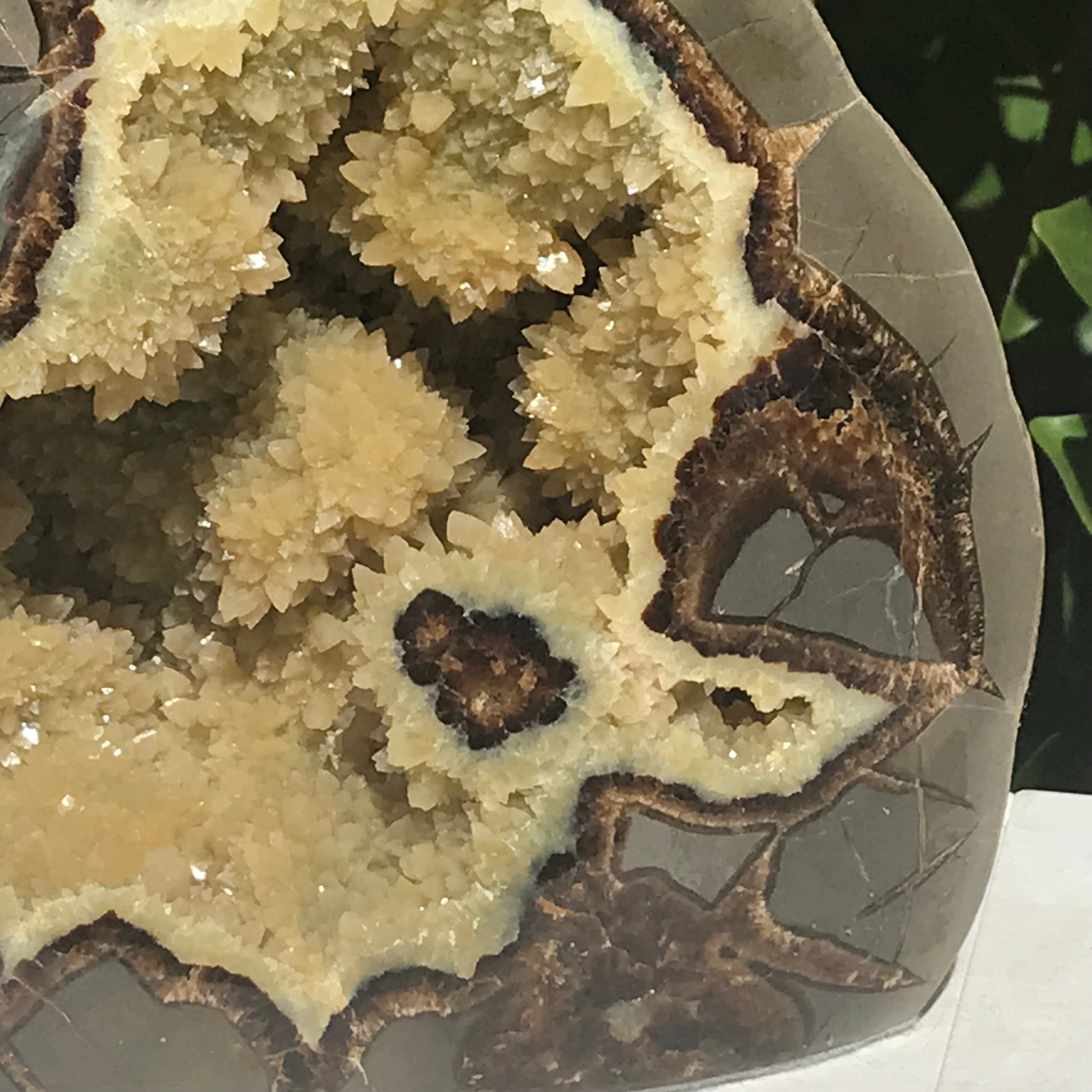 Polished Septarian Nodule