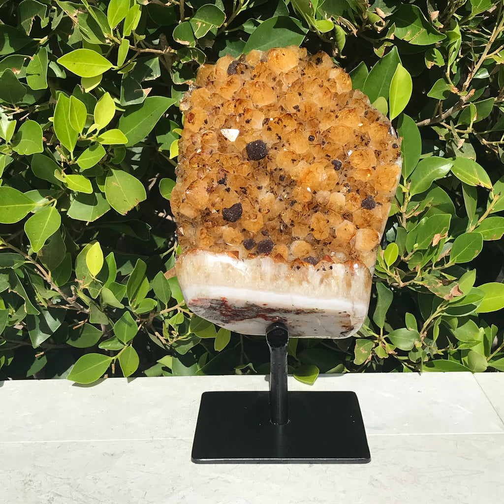 Goethite Speckled Brazilian Citrine Cluster