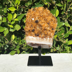 Goethite Speckled Brazilian Citrine Cluster