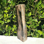 Half Round Blue Forest Petrified Wood Tree Limb