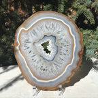 Consecutive Agate Slice #2
