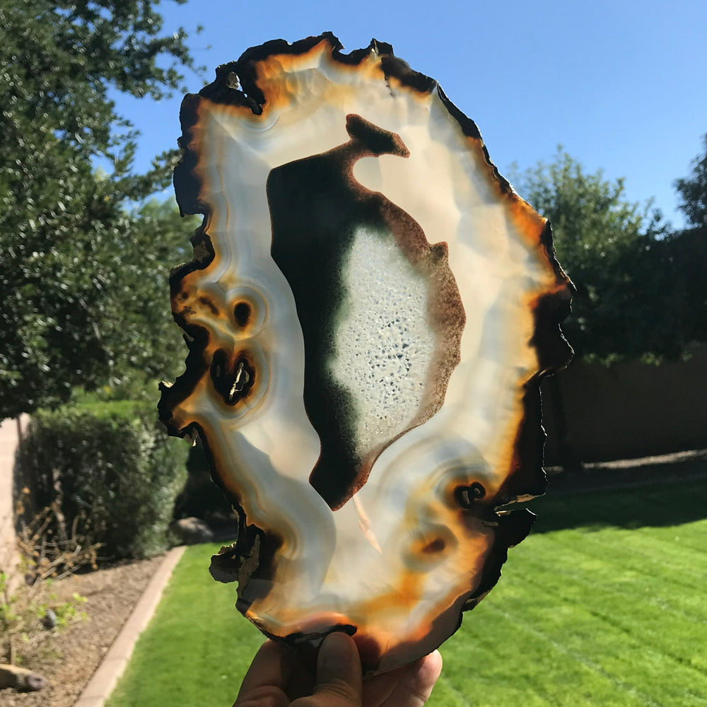 Bold Yellow and Green Banded Agate Slice