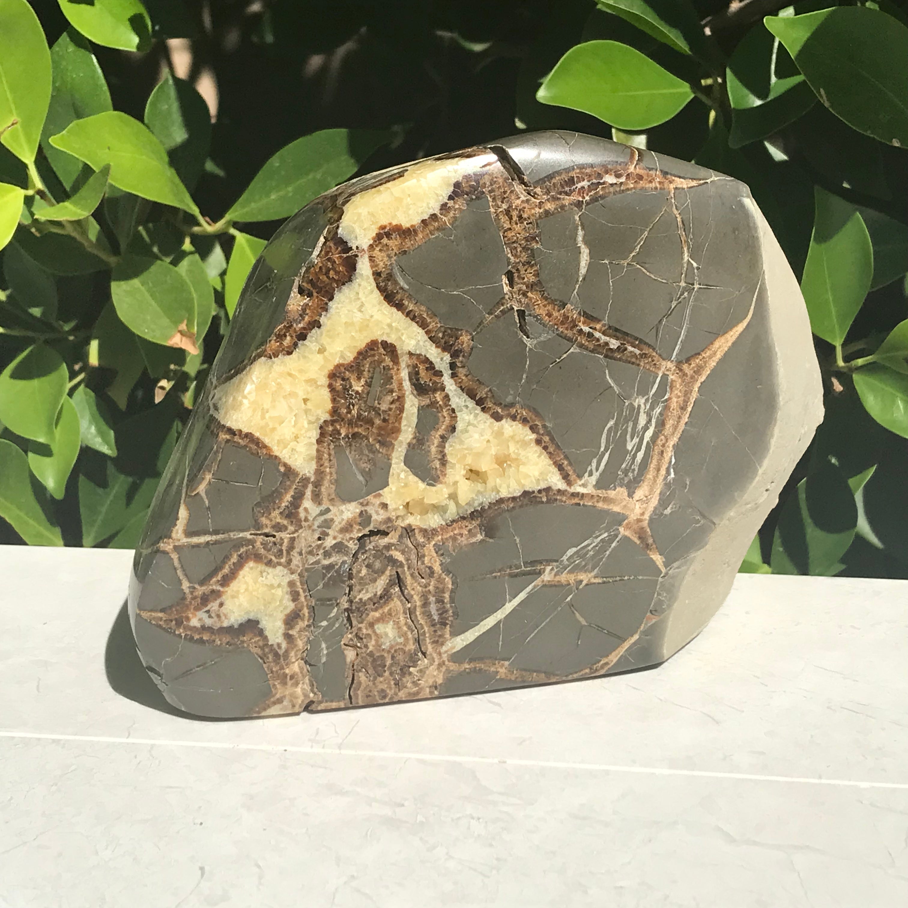 Contemporary  Septarian Nodule