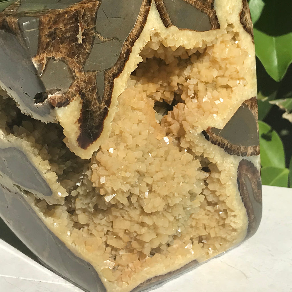 Polished Septarian Geode