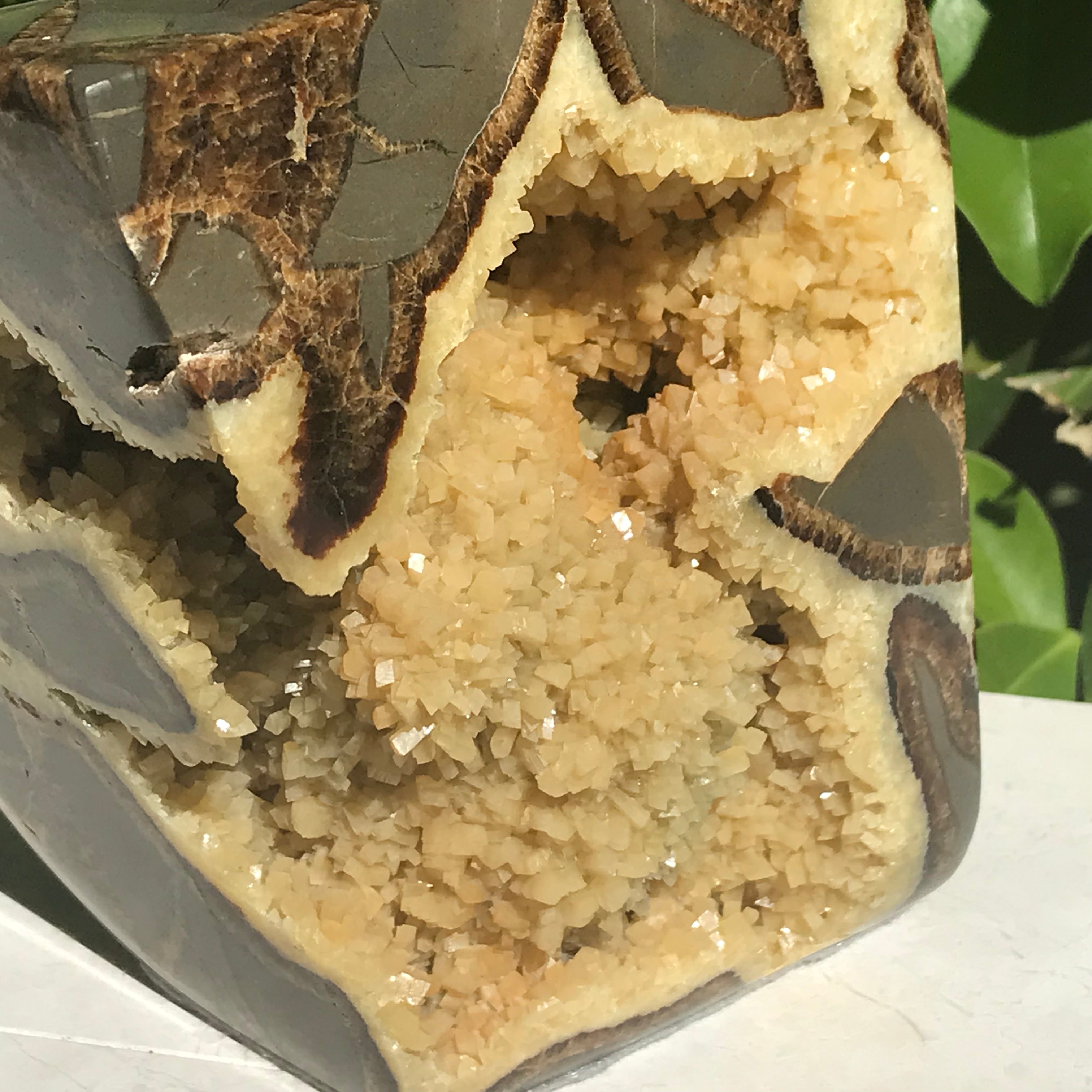 Polished Septarian Geode