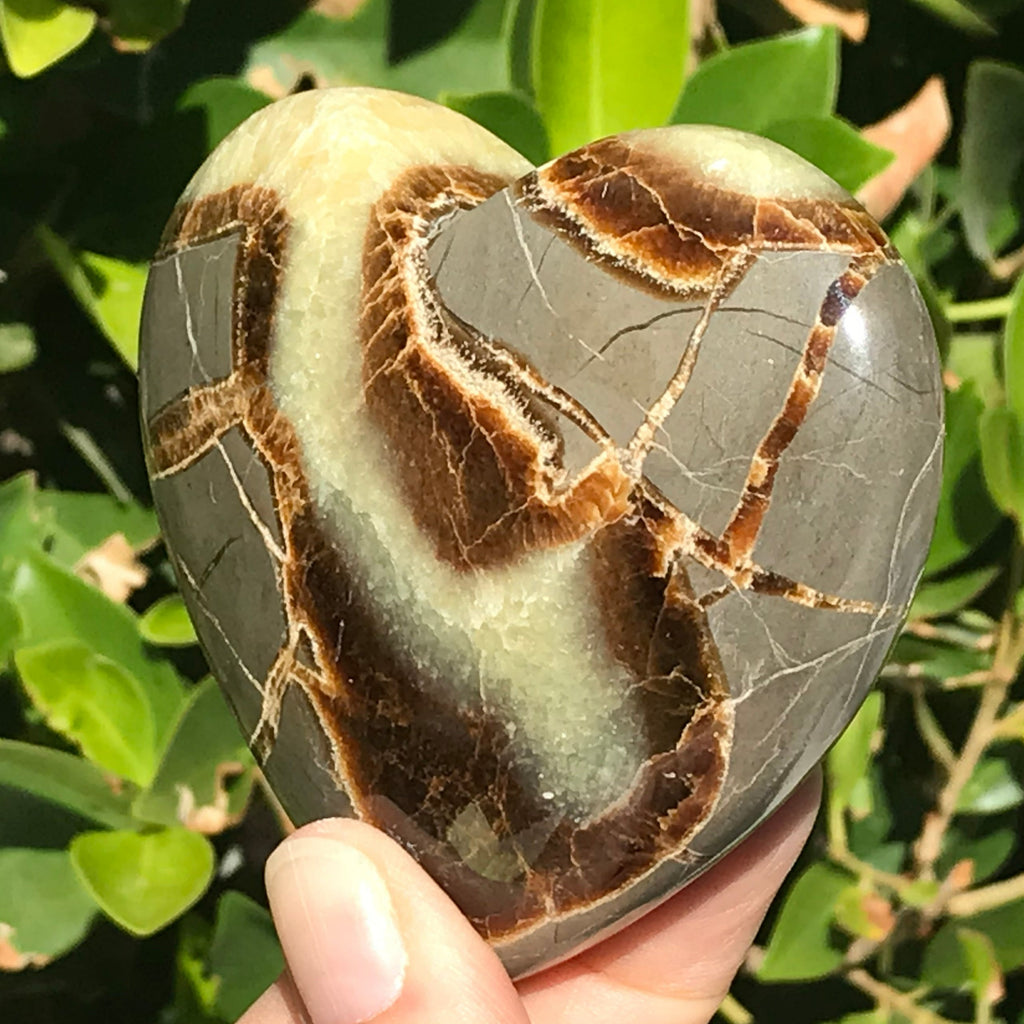 Hand Polished Septarian Heart