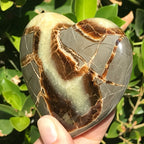 Hand Polished Septarian Heart