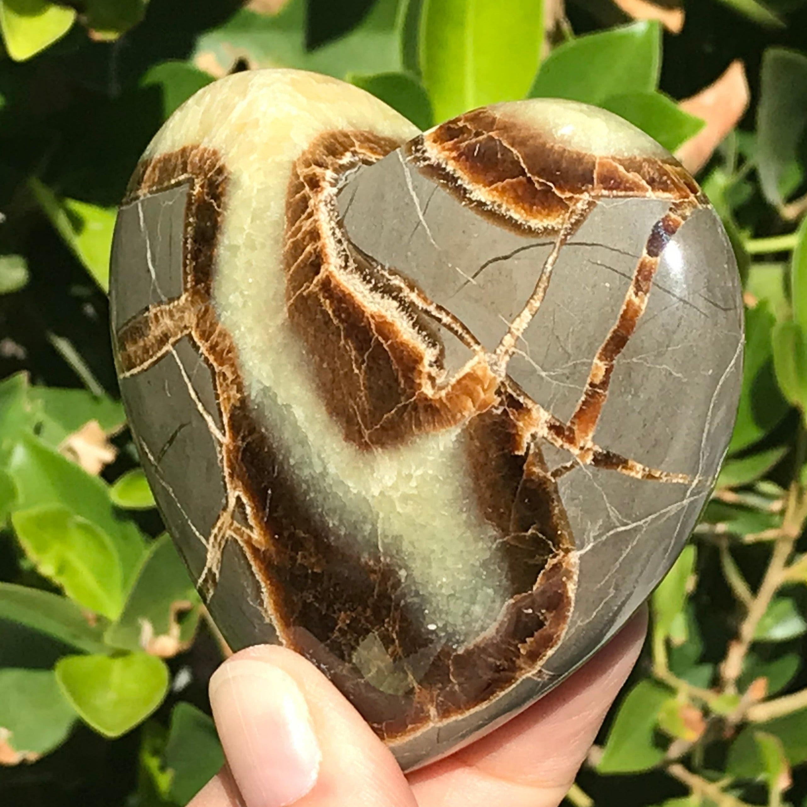 Hand Polished Septarian Heart