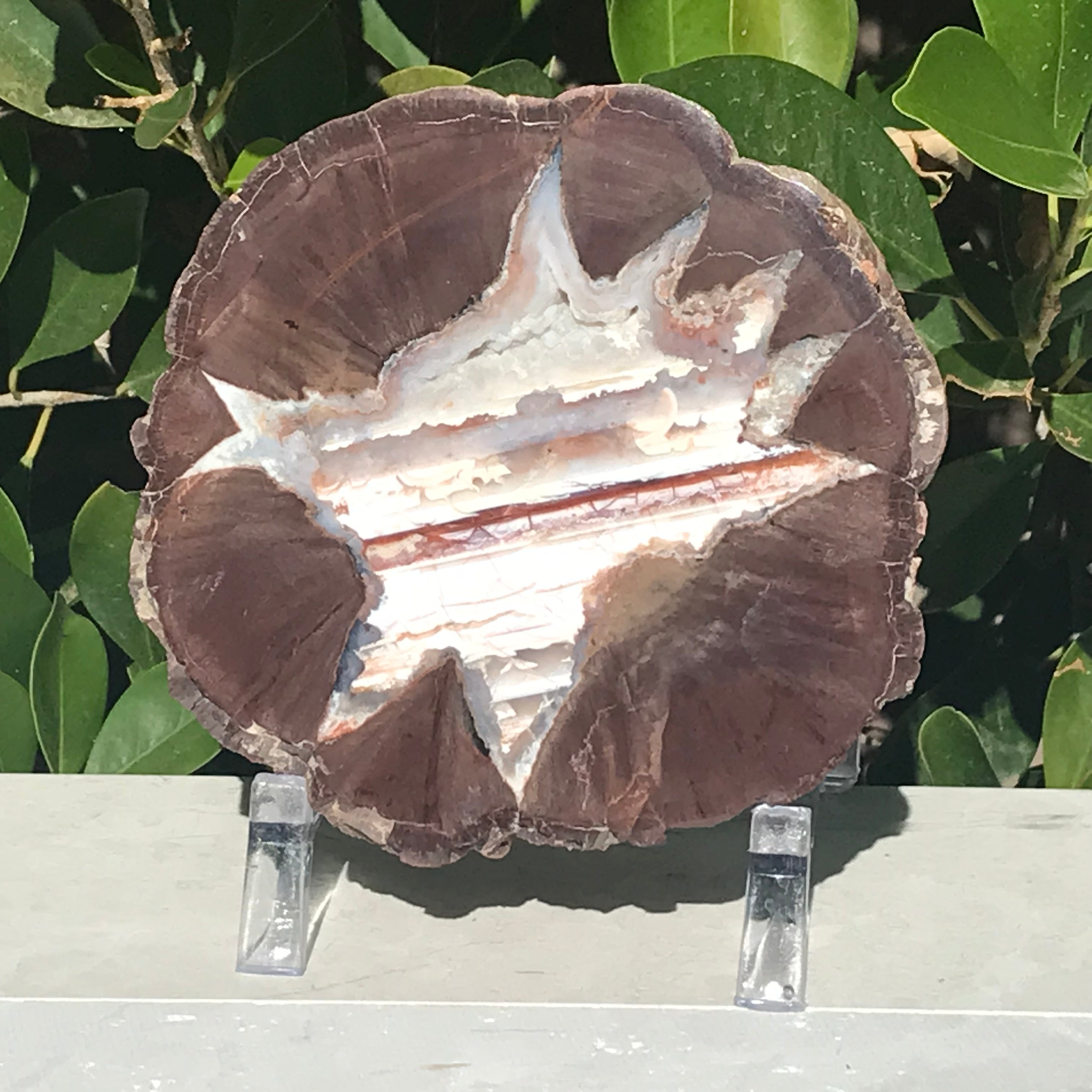 Star Insert Thunder Egg