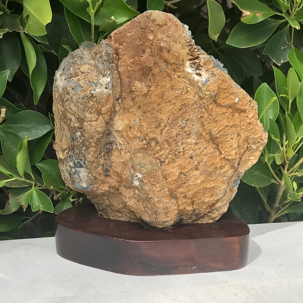Orbed Patterned Agate Freeform