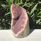 Glistening Red Uruguayan Agate Freeform