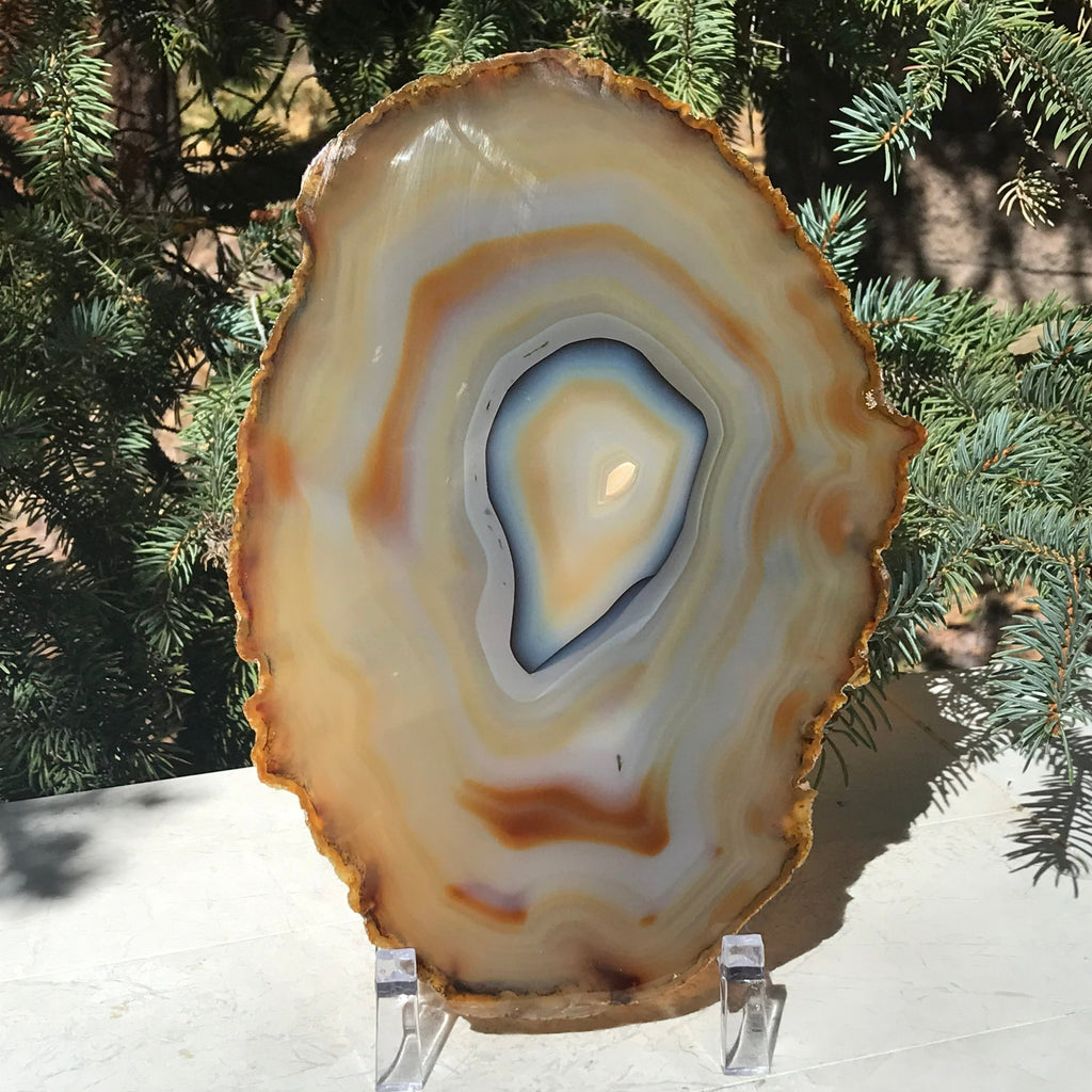 Golden Concentric Bands Agate Slice