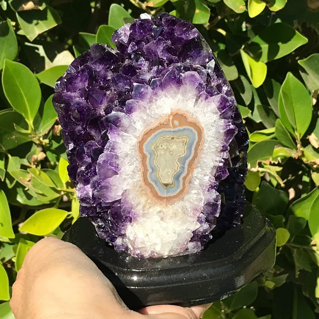 Stalactite Eyed Amethyst Cluster