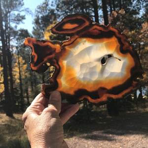 Banded Bubble Patterned Agate Slice