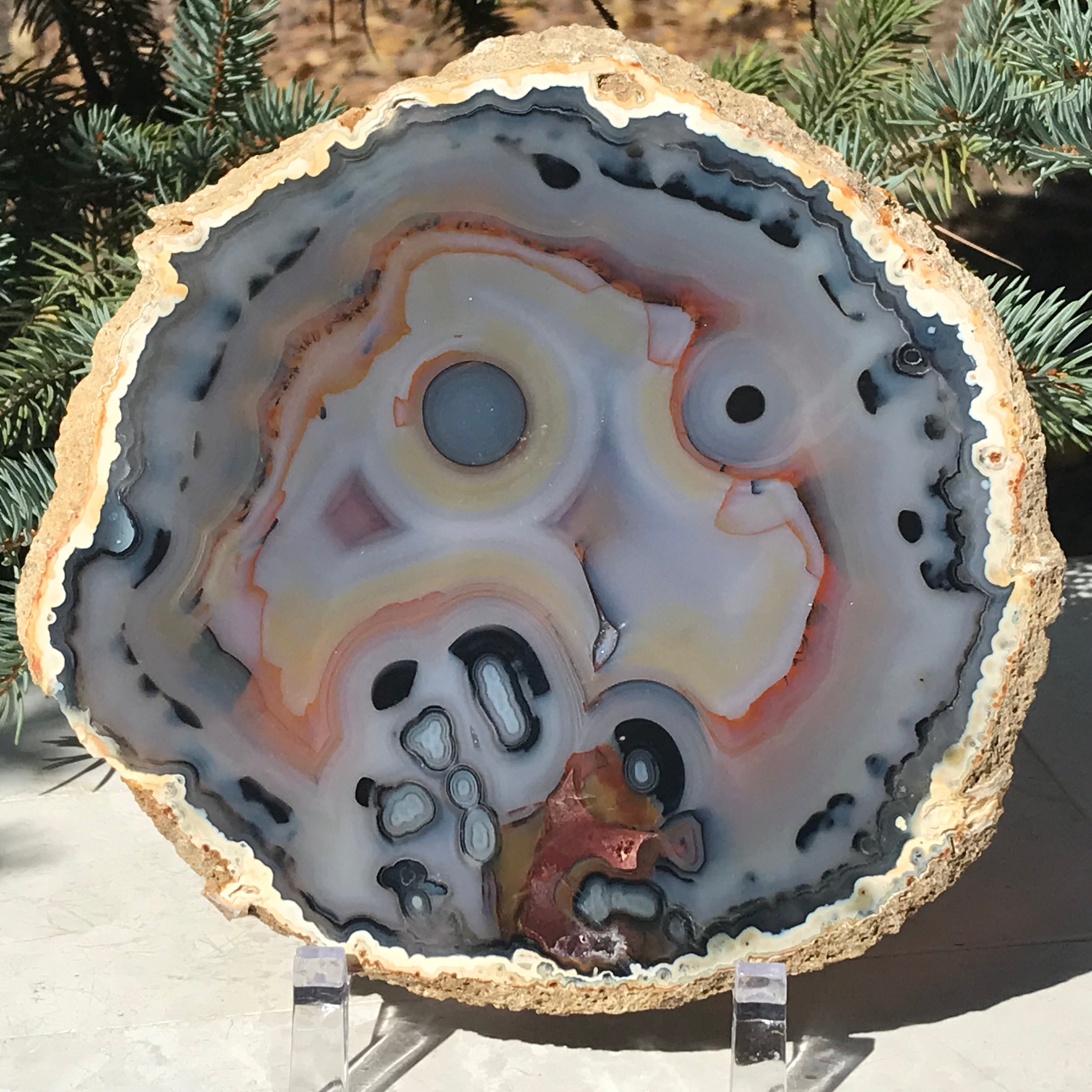 Stunningly Beautiful Agate Slice