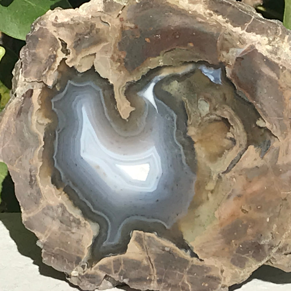 Blue Banded Dugway Geode