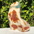 Massive Polychrome Jasper
