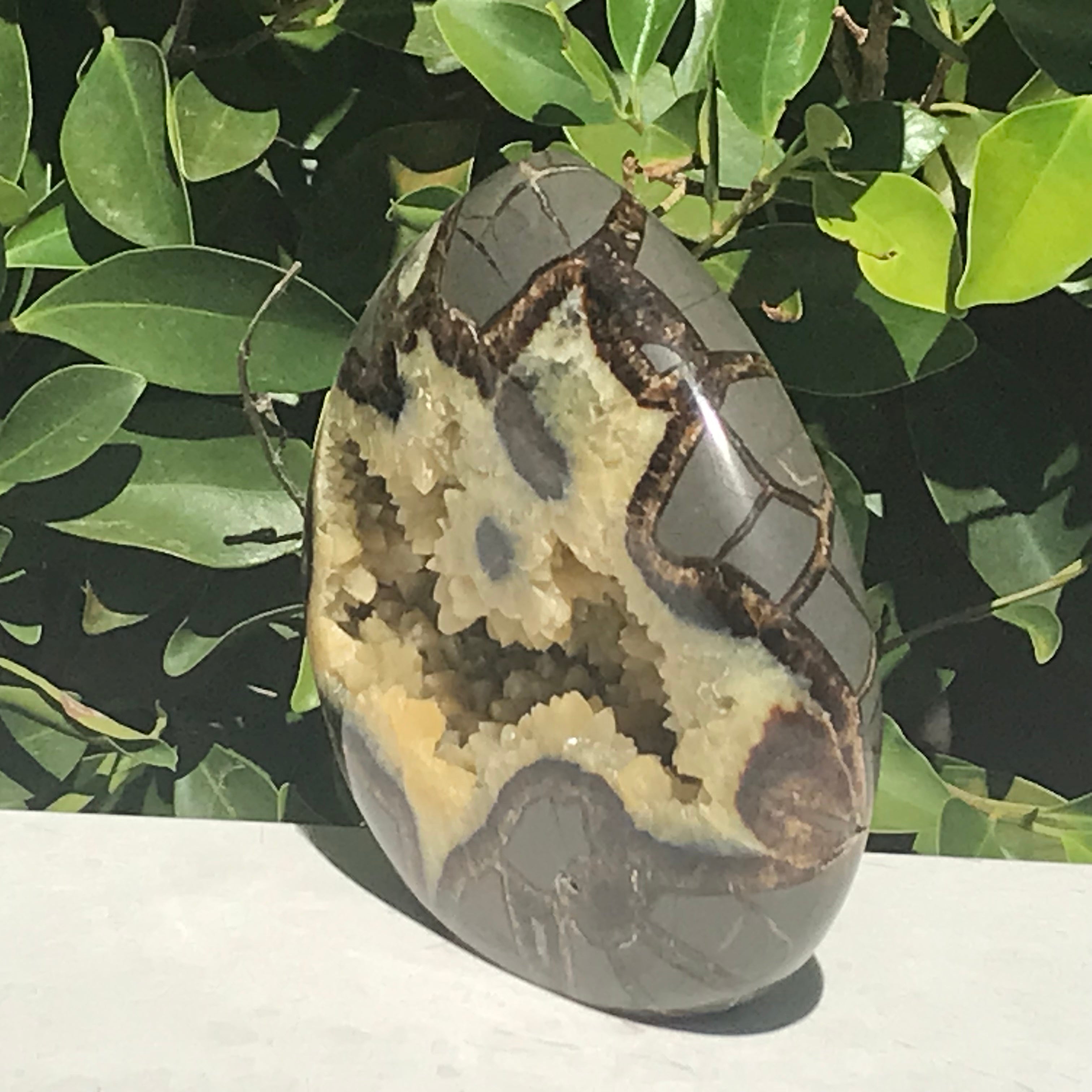 Flame Shaped Polished Septarian