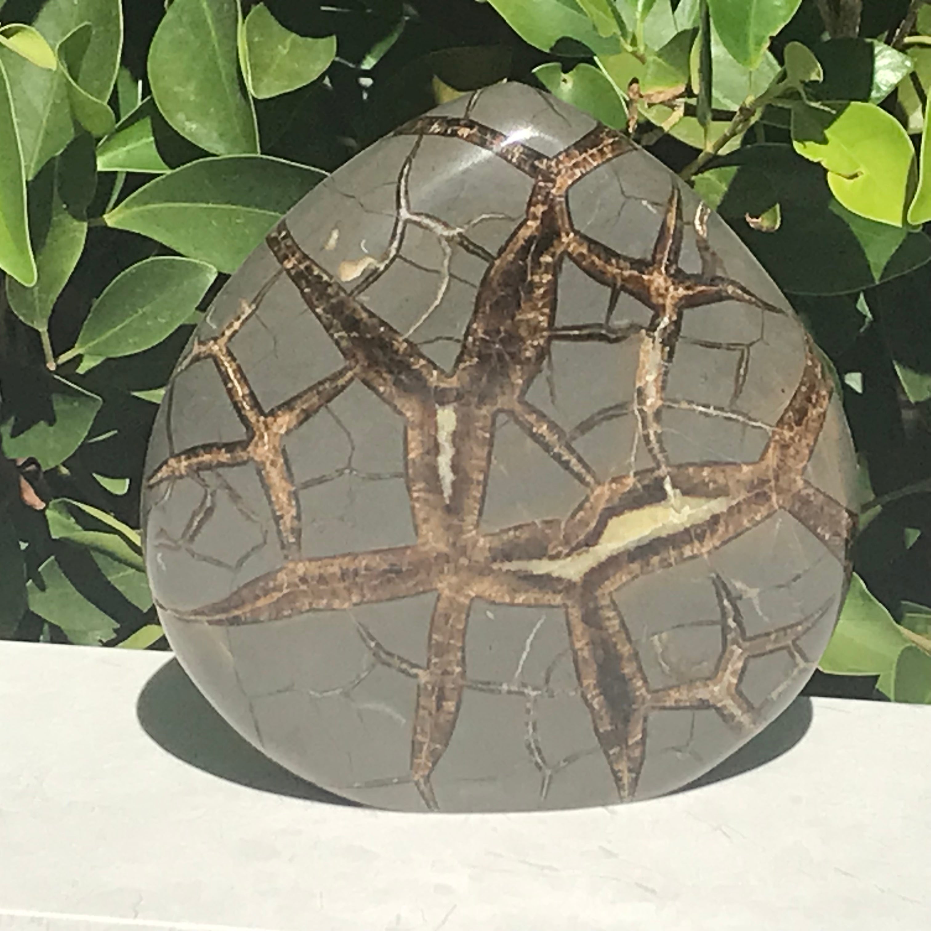 Flame Shaped Polished Septarian