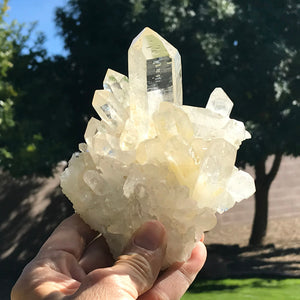 Brazilian Crystal Cluster