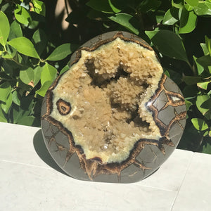 Polished Septarian Sculpture