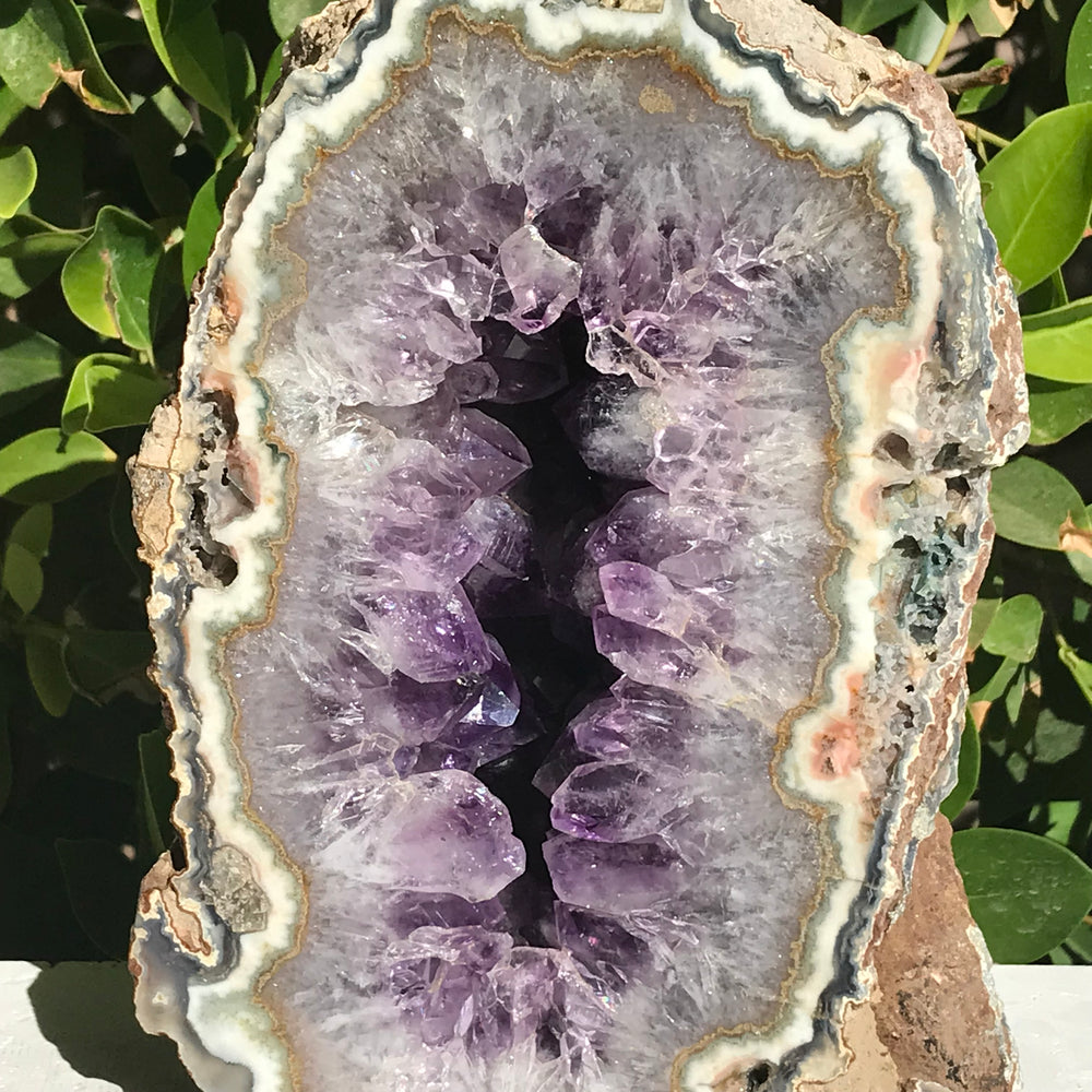 Green and Gold Banded Amethyst Geode – Rockology.net