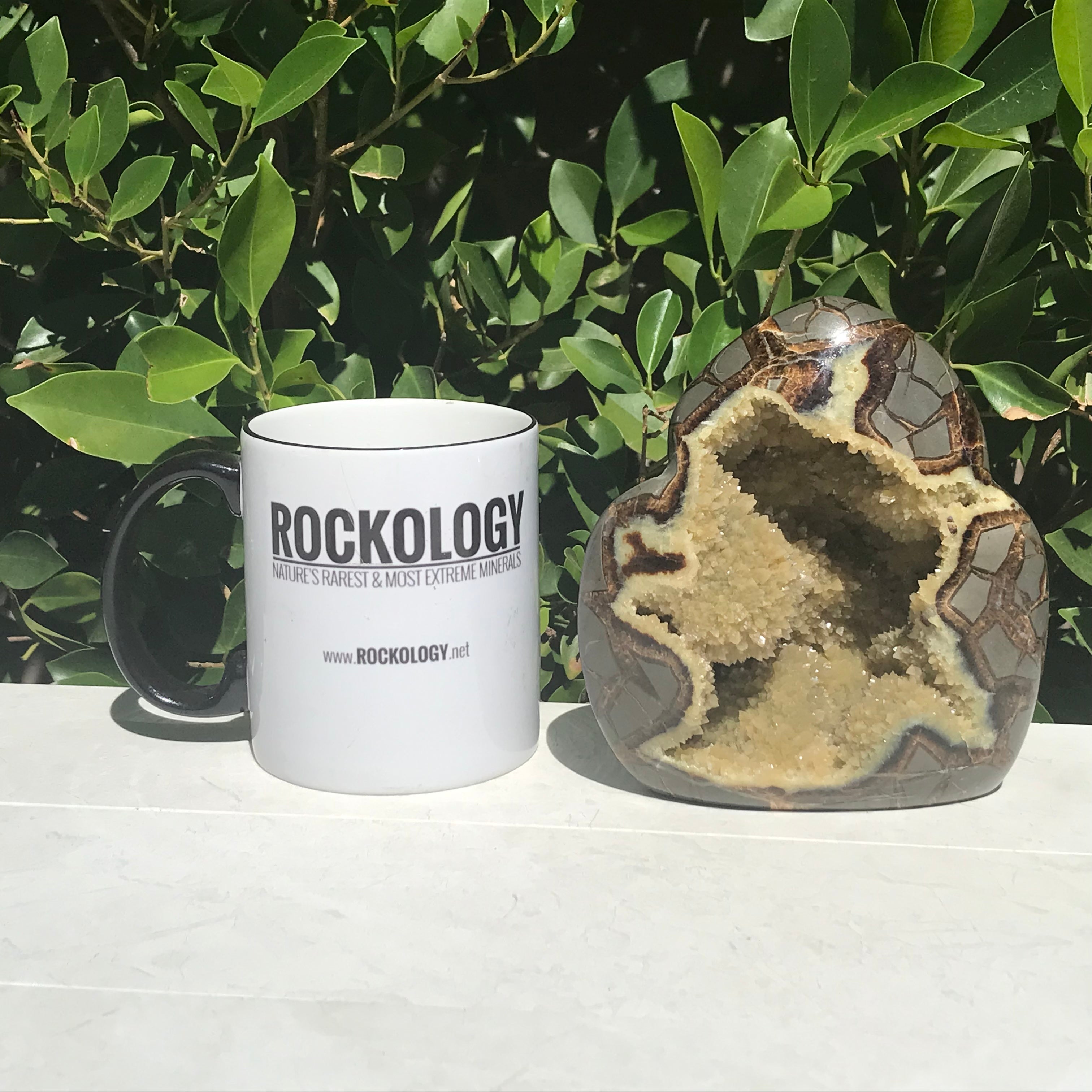 Septarian Geode