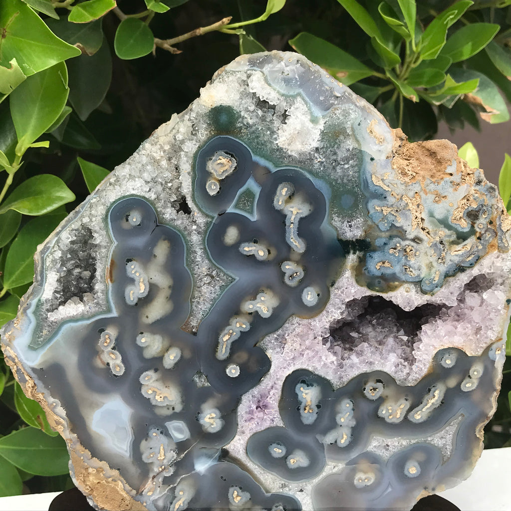 Orbed Patterned Agate Freeform