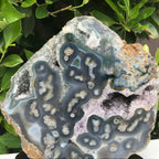 Orbed Patterned Agate Freeform