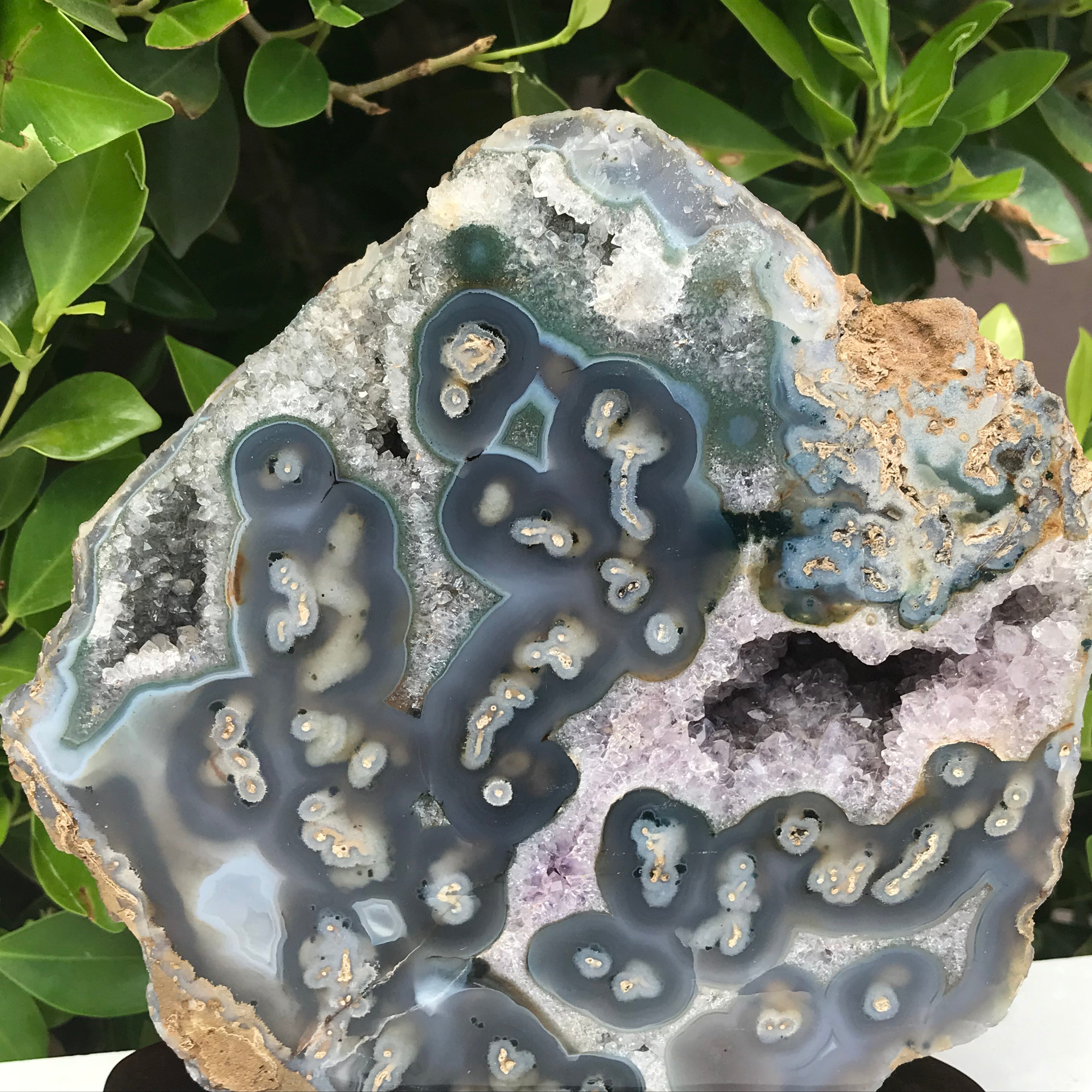 Orbed Patterned Agate Freeform