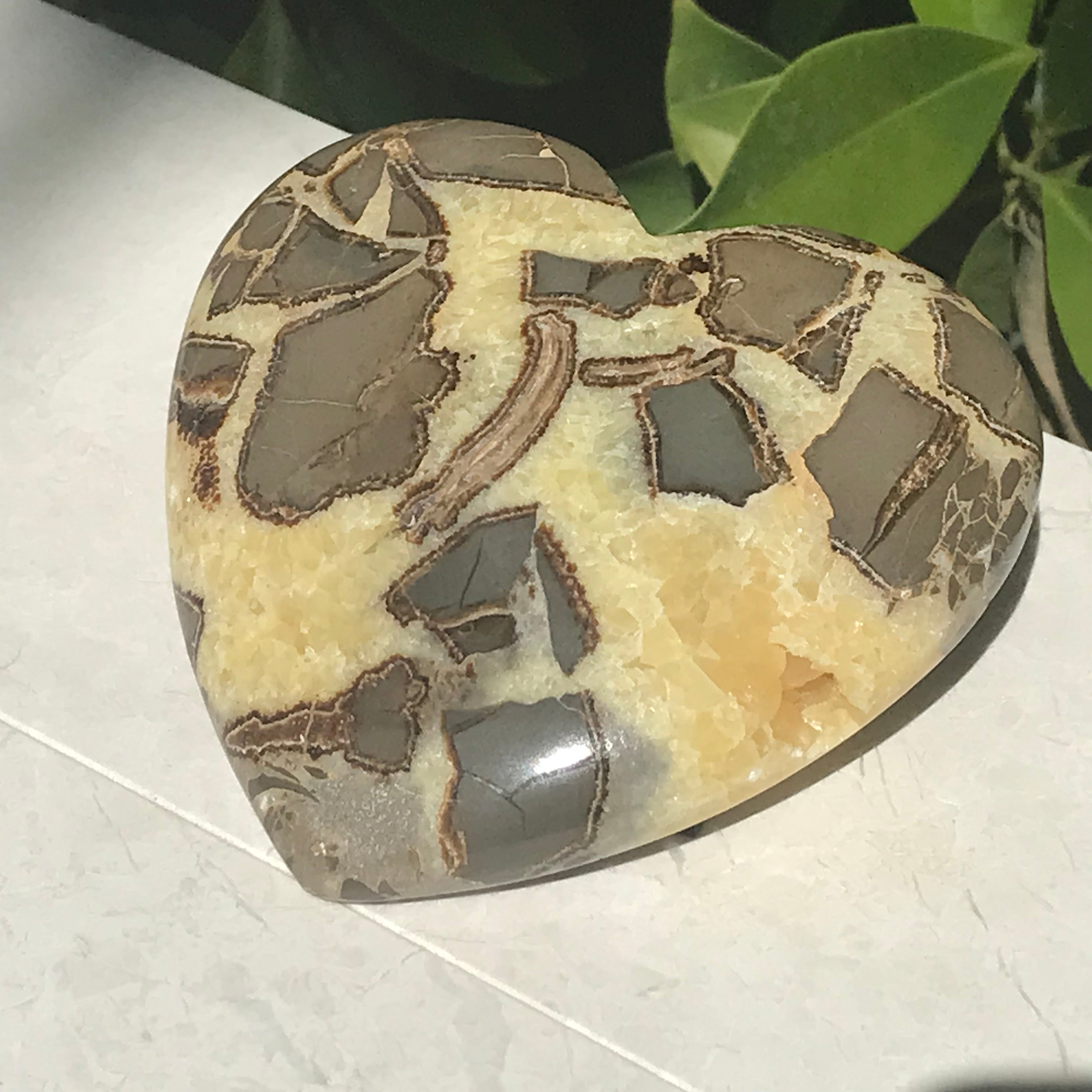 Double Sided Septarian Heart