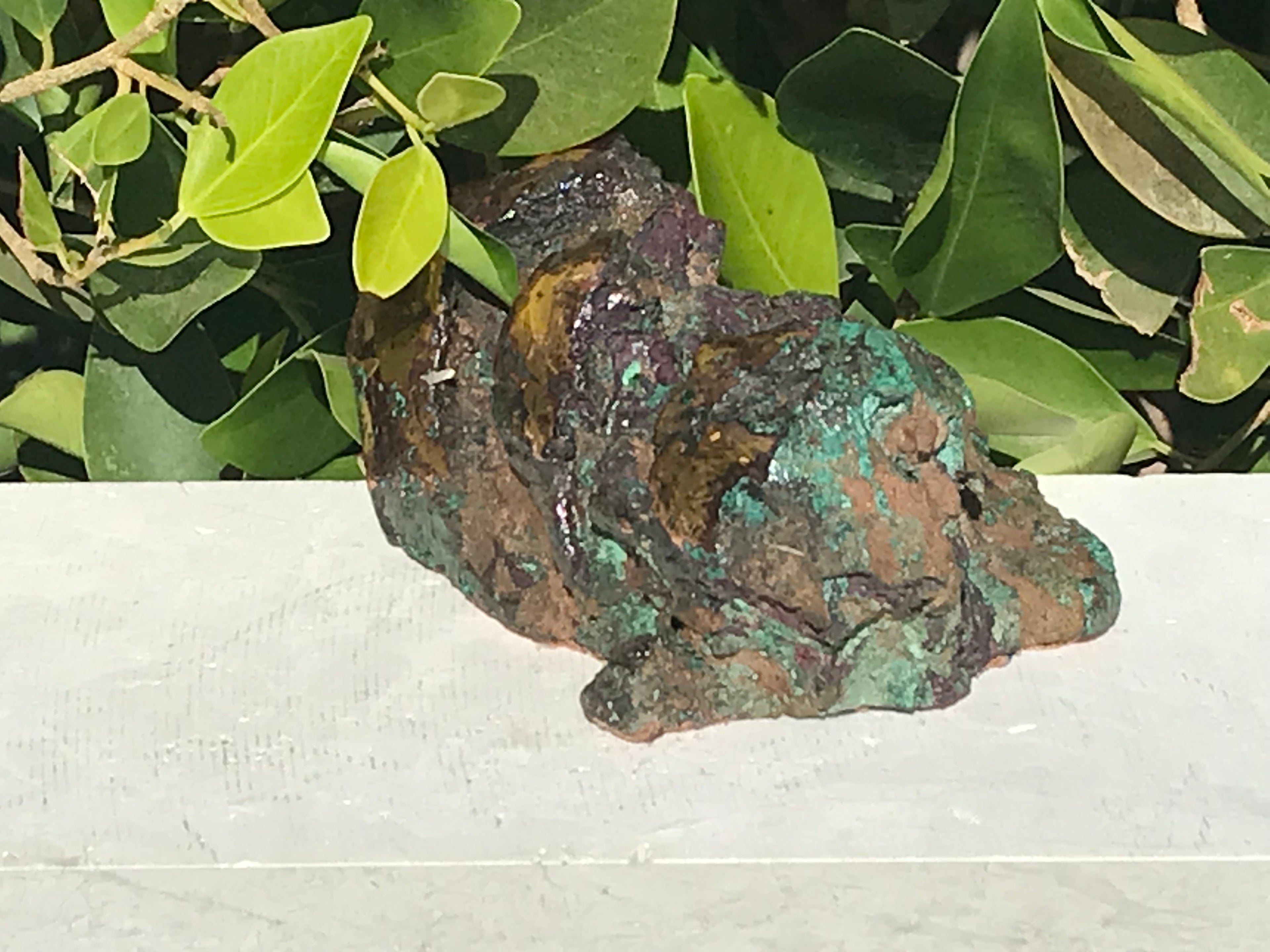 Michigan Float Copper Freeform