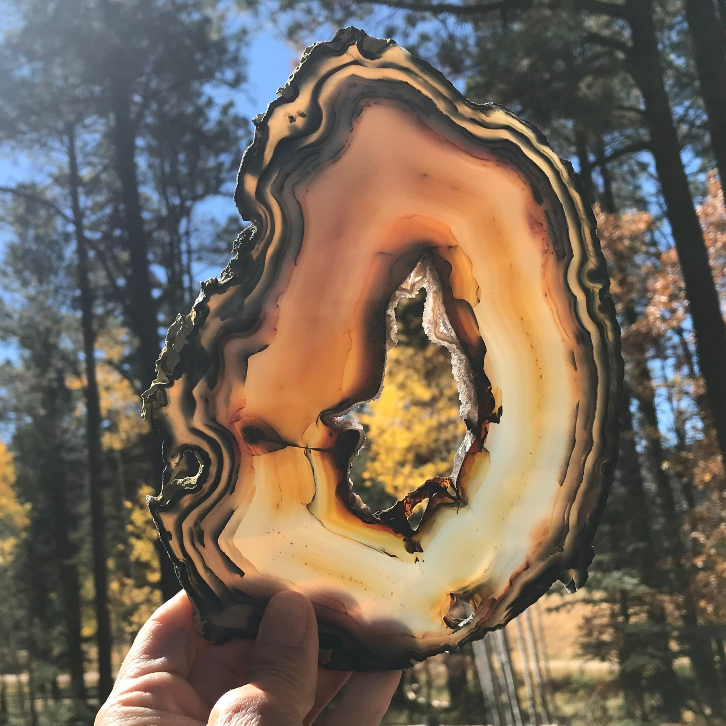 First of Twins Agate Slice