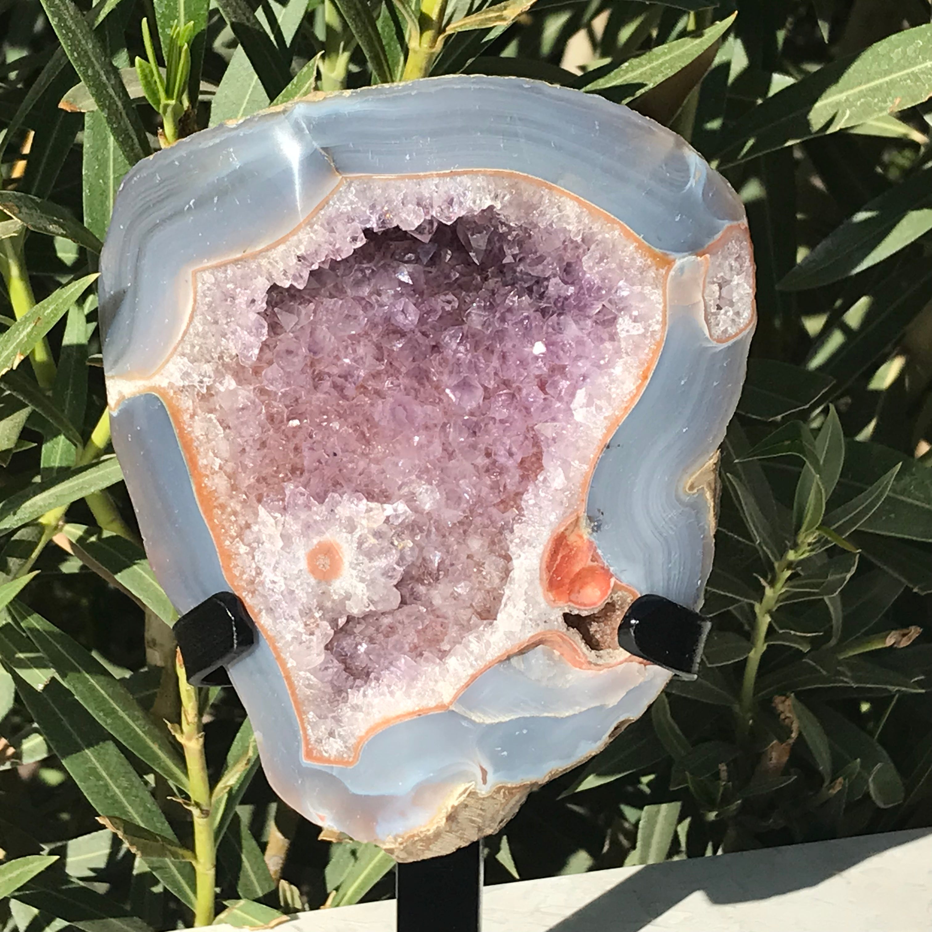 Floral Accented Lavender Amethyst Crystal Geode – Rockology.net